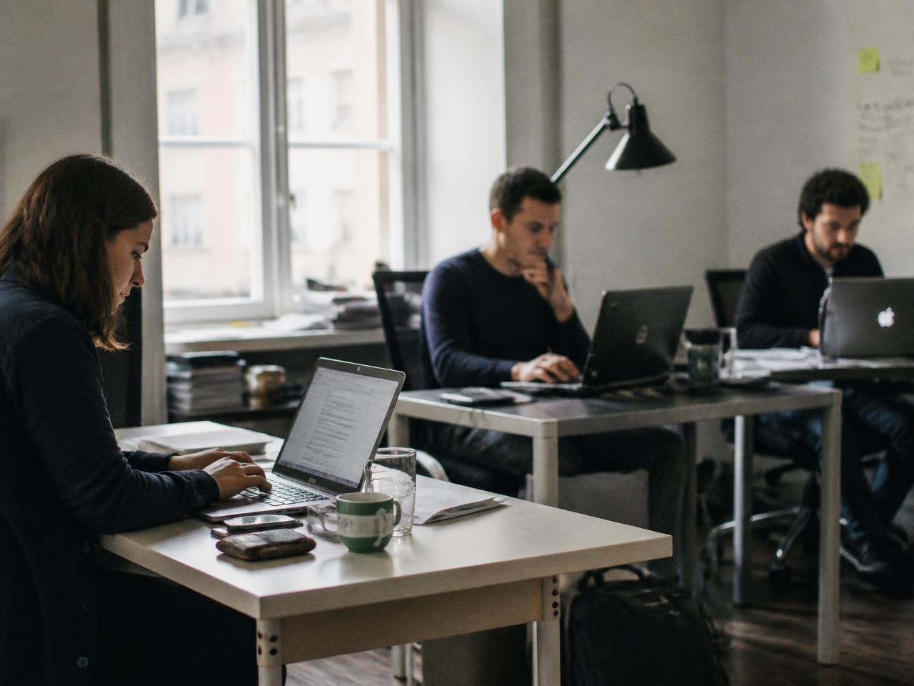 Software Development